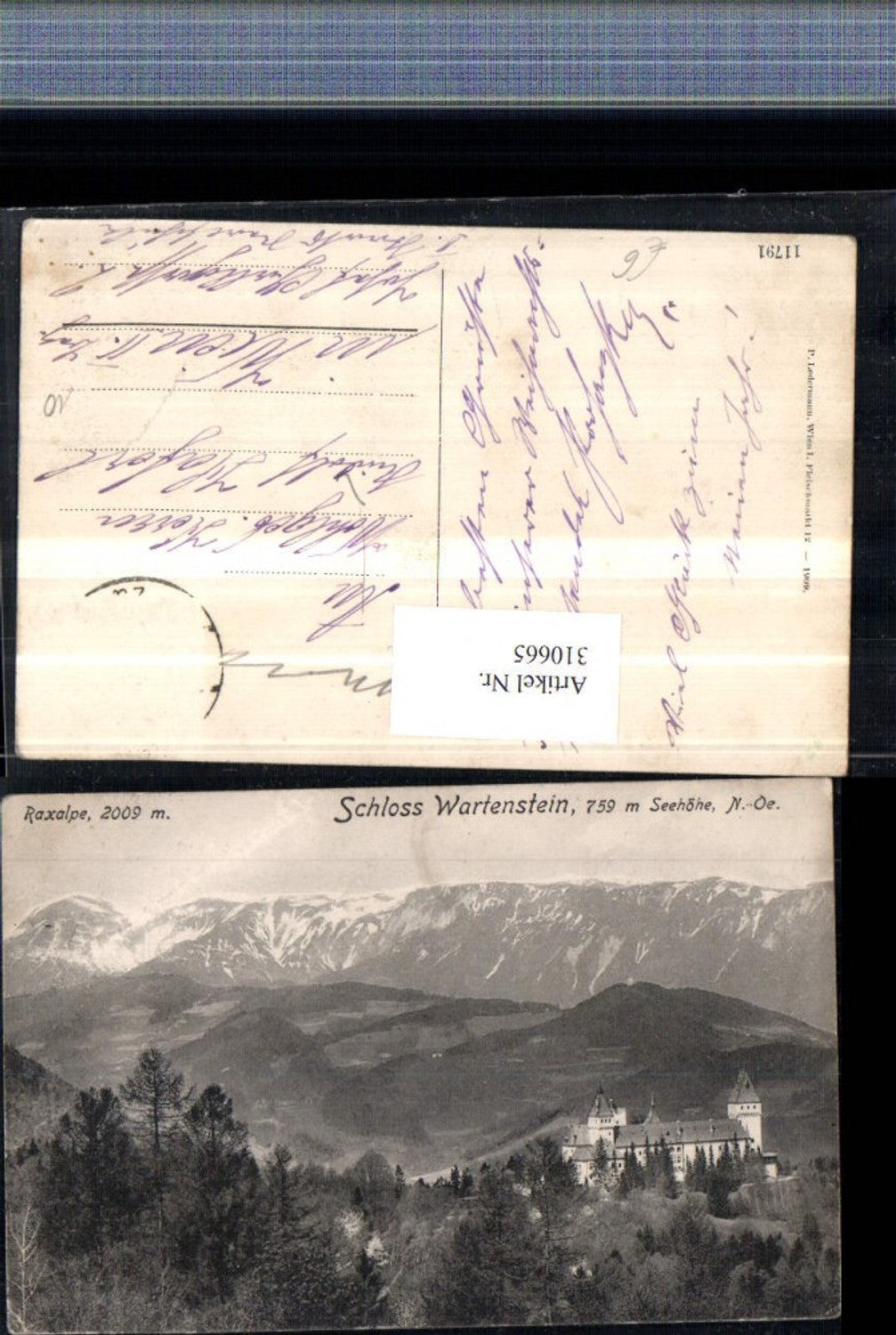 310665,Schloss Burg Wartenstein b. Gloggnitz m. Raxalpe Bergkulisse