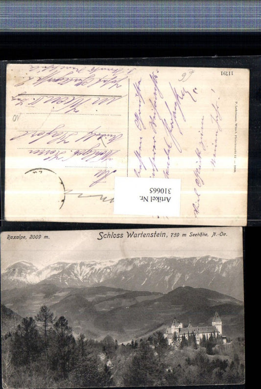 310665,Schloss Burg Wartenstein b. Gloggnitz m. Raxalpe Bergkulisse