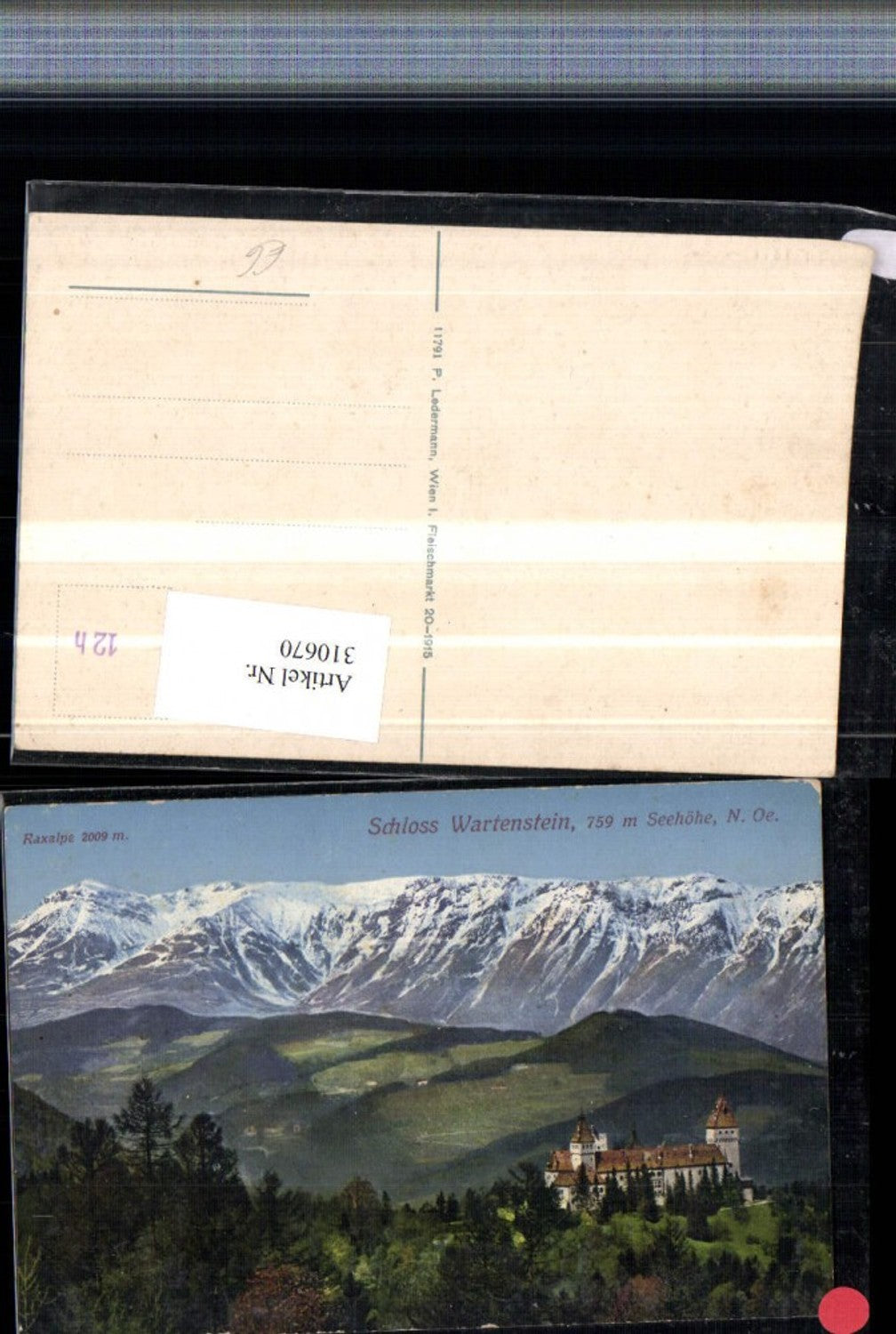 310670,Schloss Burg Wartenstein b. Gloggnitz m. Raxalpe Bergkulisse