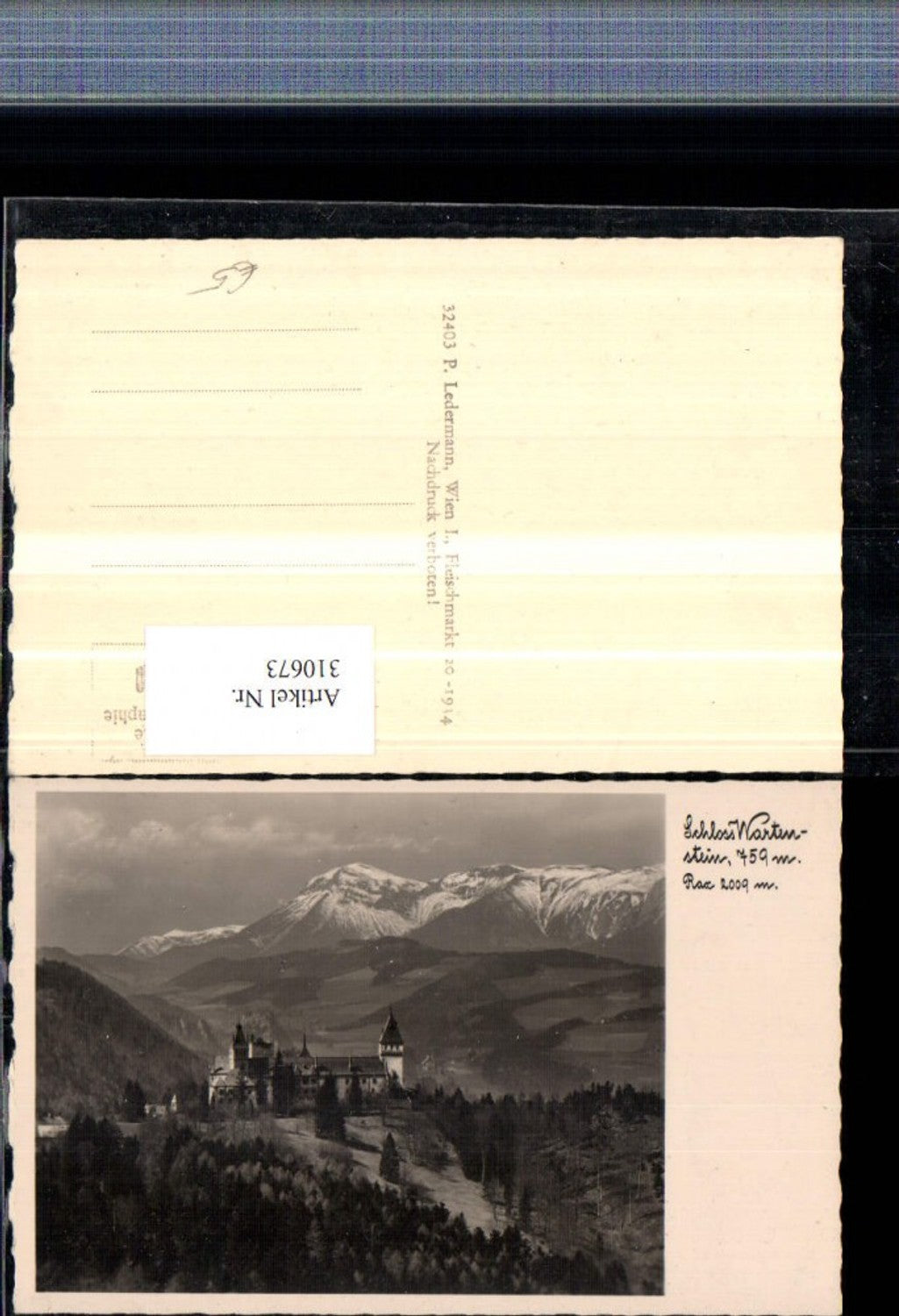310673,Schloss Burg Wartenstein b. Gloggnitz geg. Rax Bergkulisse