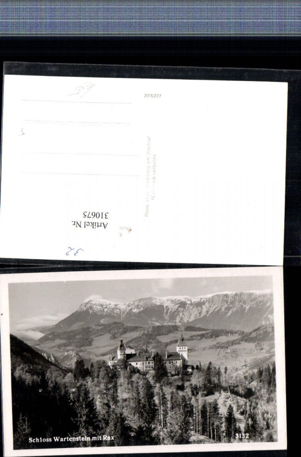 310675,Schloss Burg Wartenstein b. Gloggnitz Bergkulisse