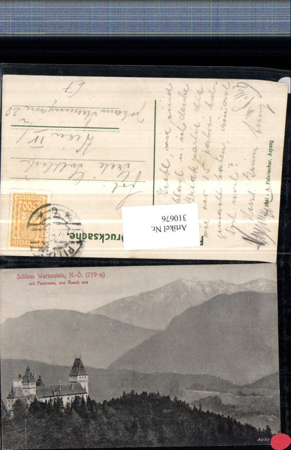 310676,Schloss Burg Wartenstein b. Gloggnitz Bergkulisse