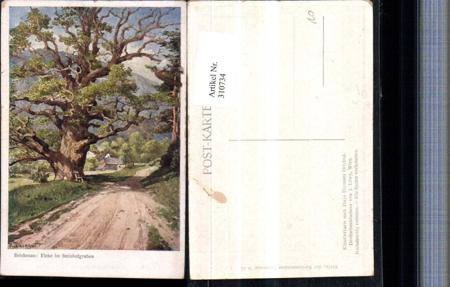 310734,Künstler AK Hugo Darnaut Reichenau an d. Rax Eiche im Steinhofgraben