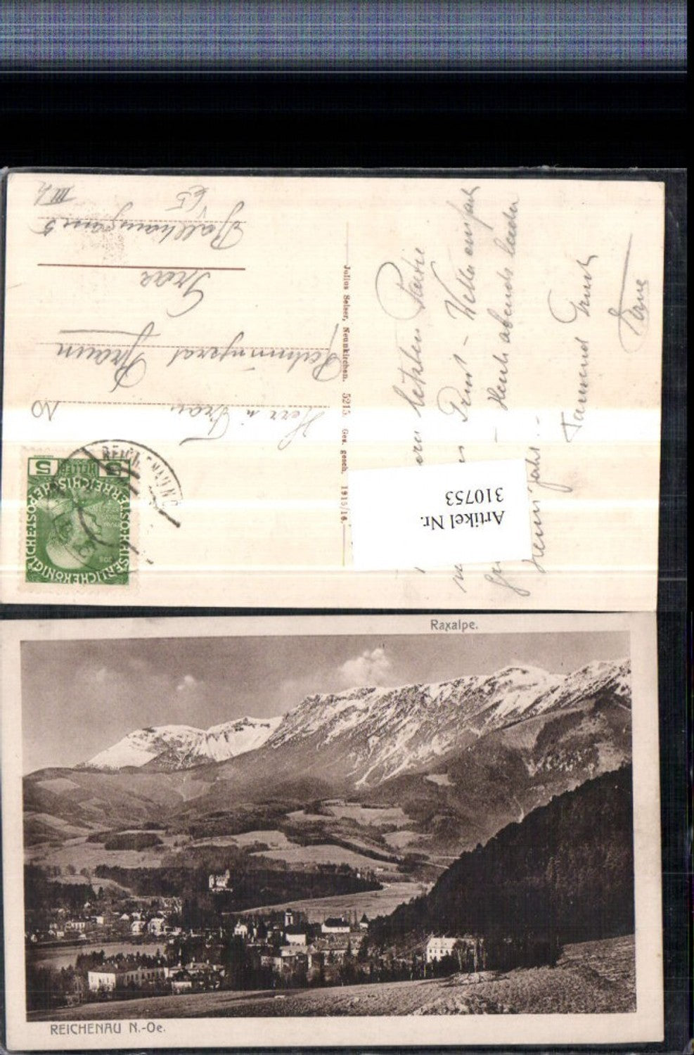 310753,Reichenau an d. Rax Teilansicht m. Raxalpe Bergkulisse pub Julius Seiser 5215