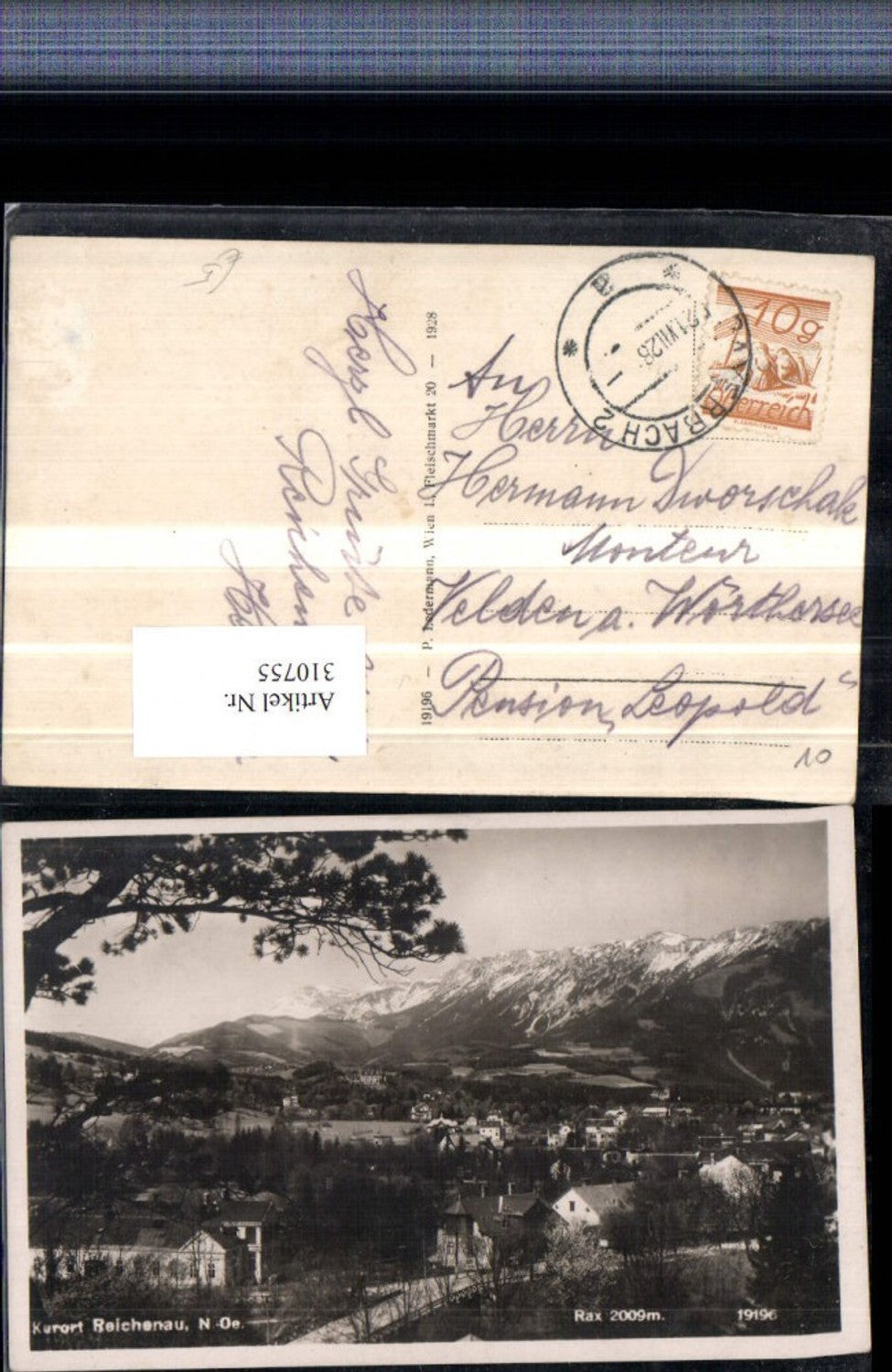 310755,Reichenau an d. Rax Teilansicht m. Rax Bergkulisse