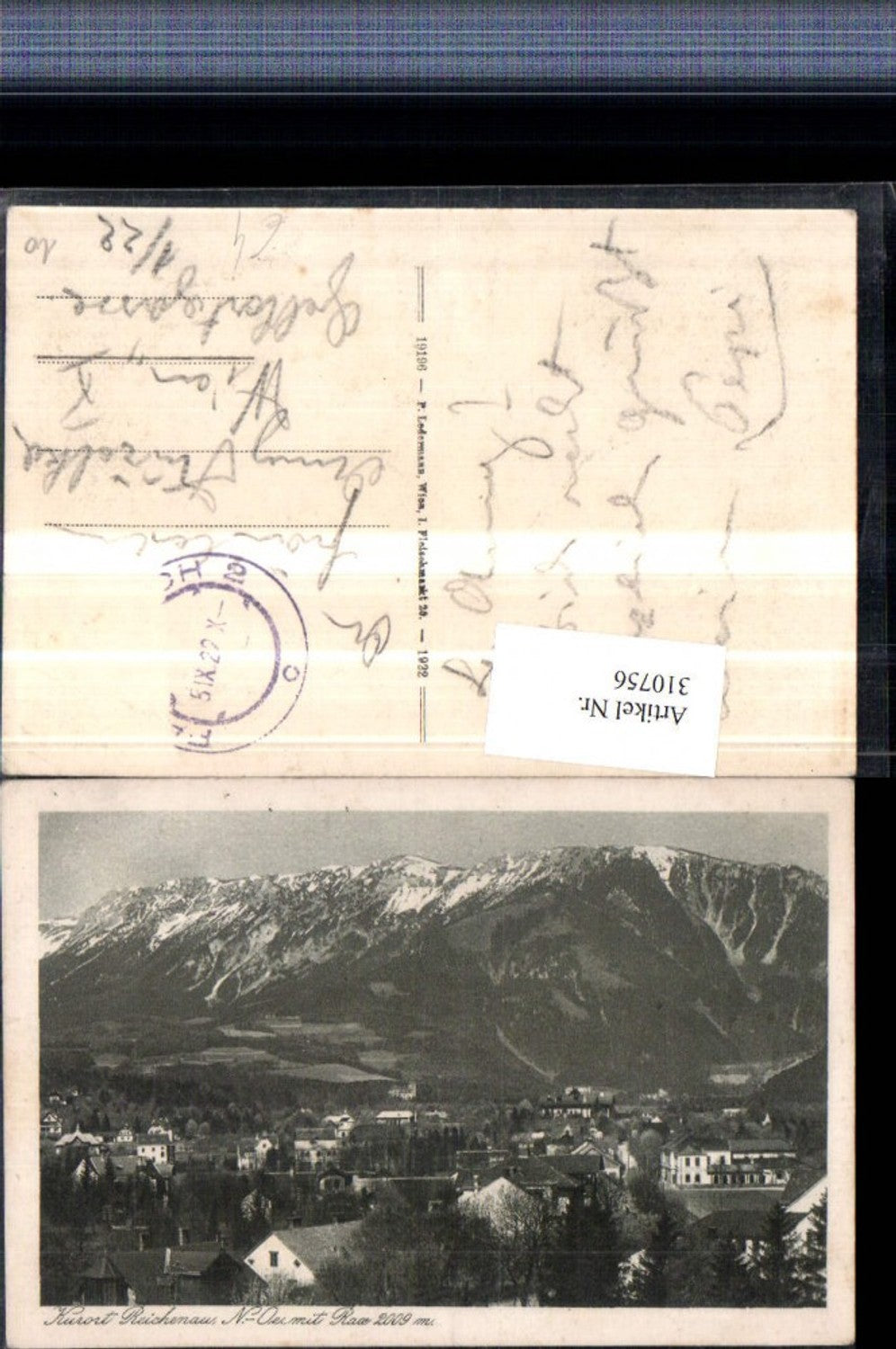 310756,Reichenau an d. Rax Teilansicht m. Rax Bergkulisse