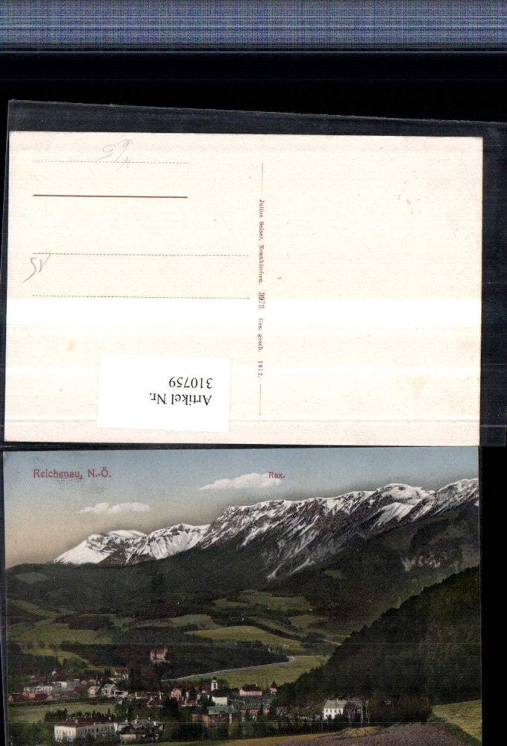 310759,Reichenau an d. Rax Teilansicht m. Rax Bergkulisse pub Julius Seiser 3973