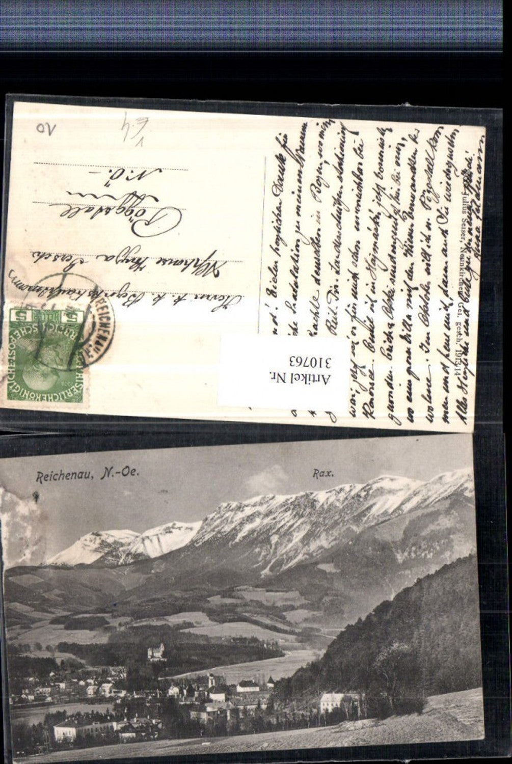 310763,Reichenau an d. Rax Teilansicht m. Rax Bergkulisse pub Julius Seiser 3955