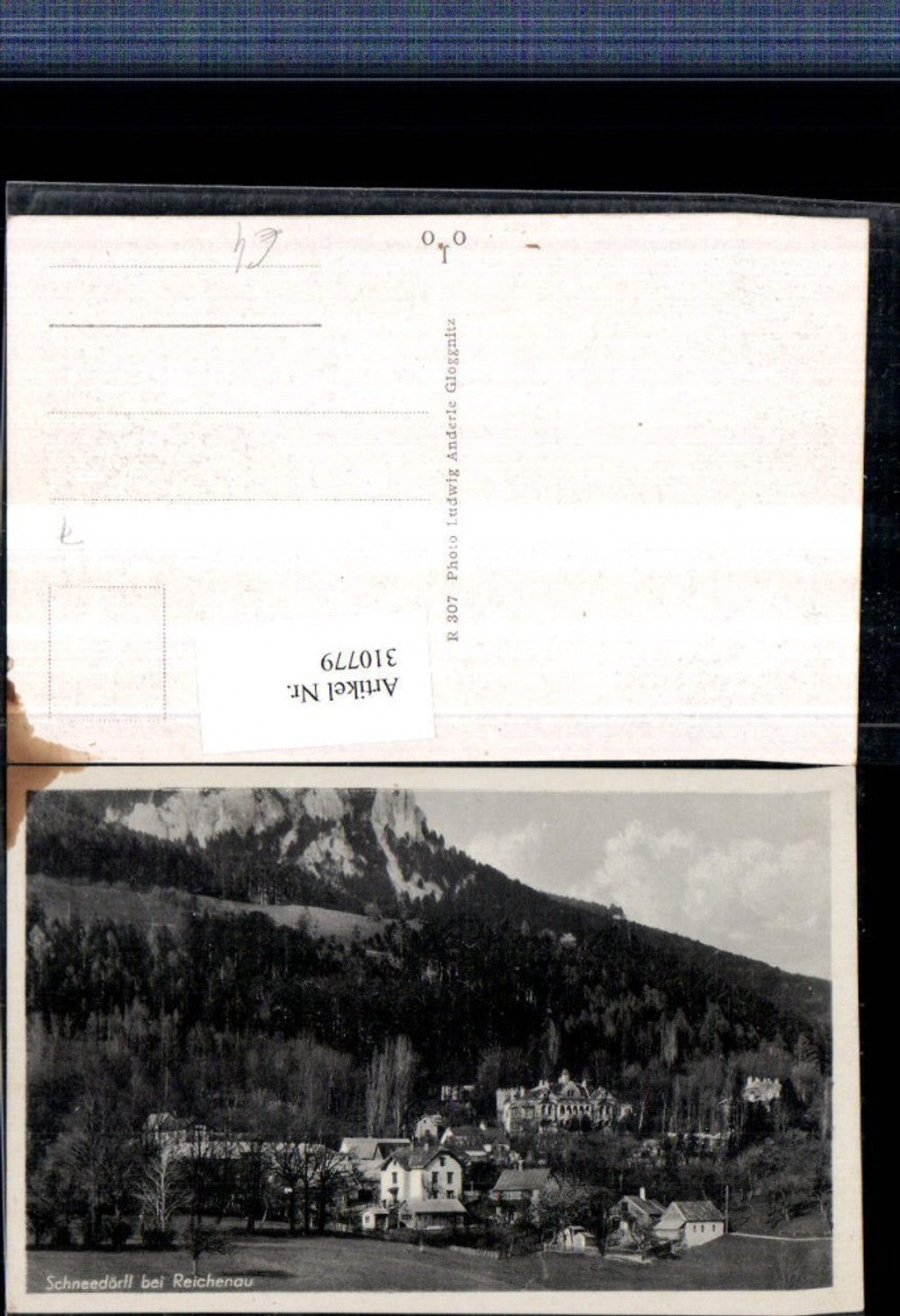 310779,Schneedörfl b. Reichenau Totale