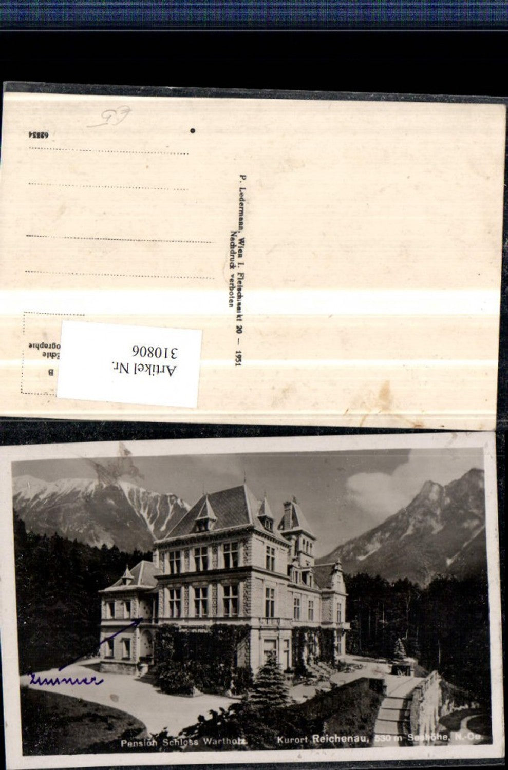 310806,Reichenau an d. Rax Pension Schloss Wartholz Bergkulisse