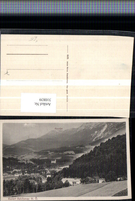 310839,Reichenau an d. Rax Teilansicht m. Raxalpe Bergkulisse pub Julius Seiser 6025