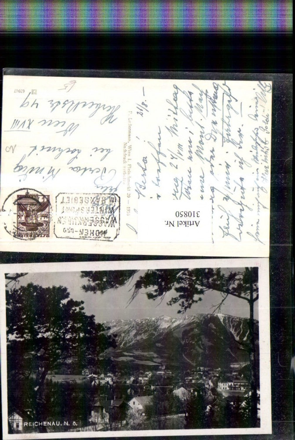 310850,Reichenau an d. Rax Teilansicht Bergkulisse