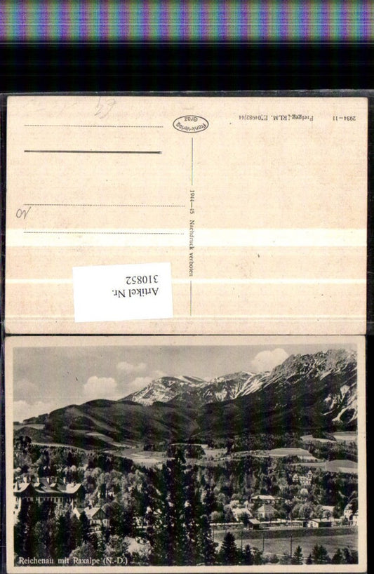 310852,Reichenau an d. Rax Teilansicht m. Raxalpe Bergkulisse