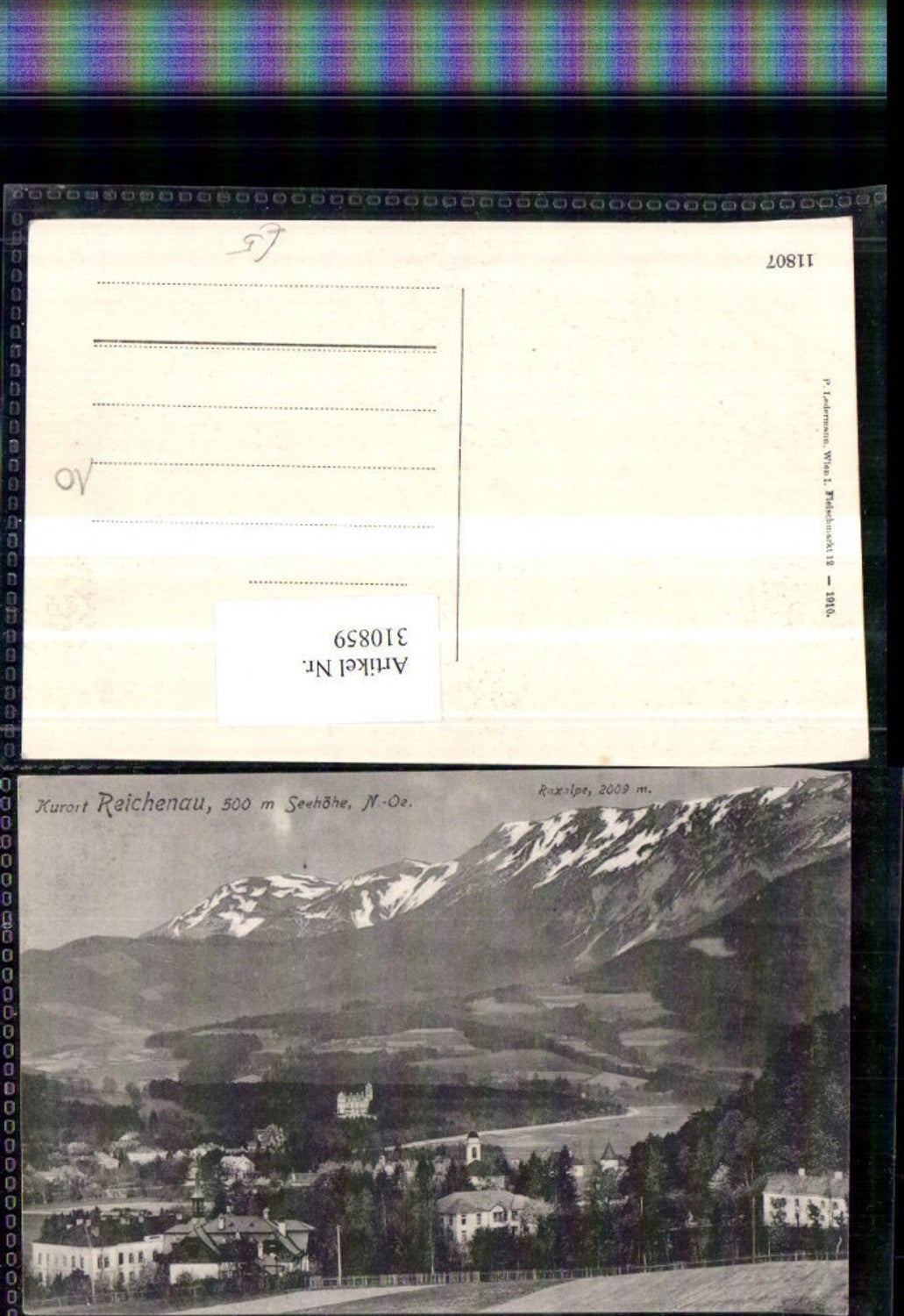 310859,Reichenau an d. Rax Teilansicht m. Raxalpe Bergkulisse
