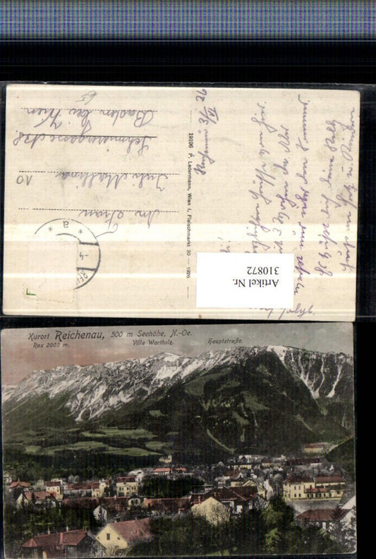 310872,Reichenau an d. Rax Teilansicht m. Rax Bergkulisse