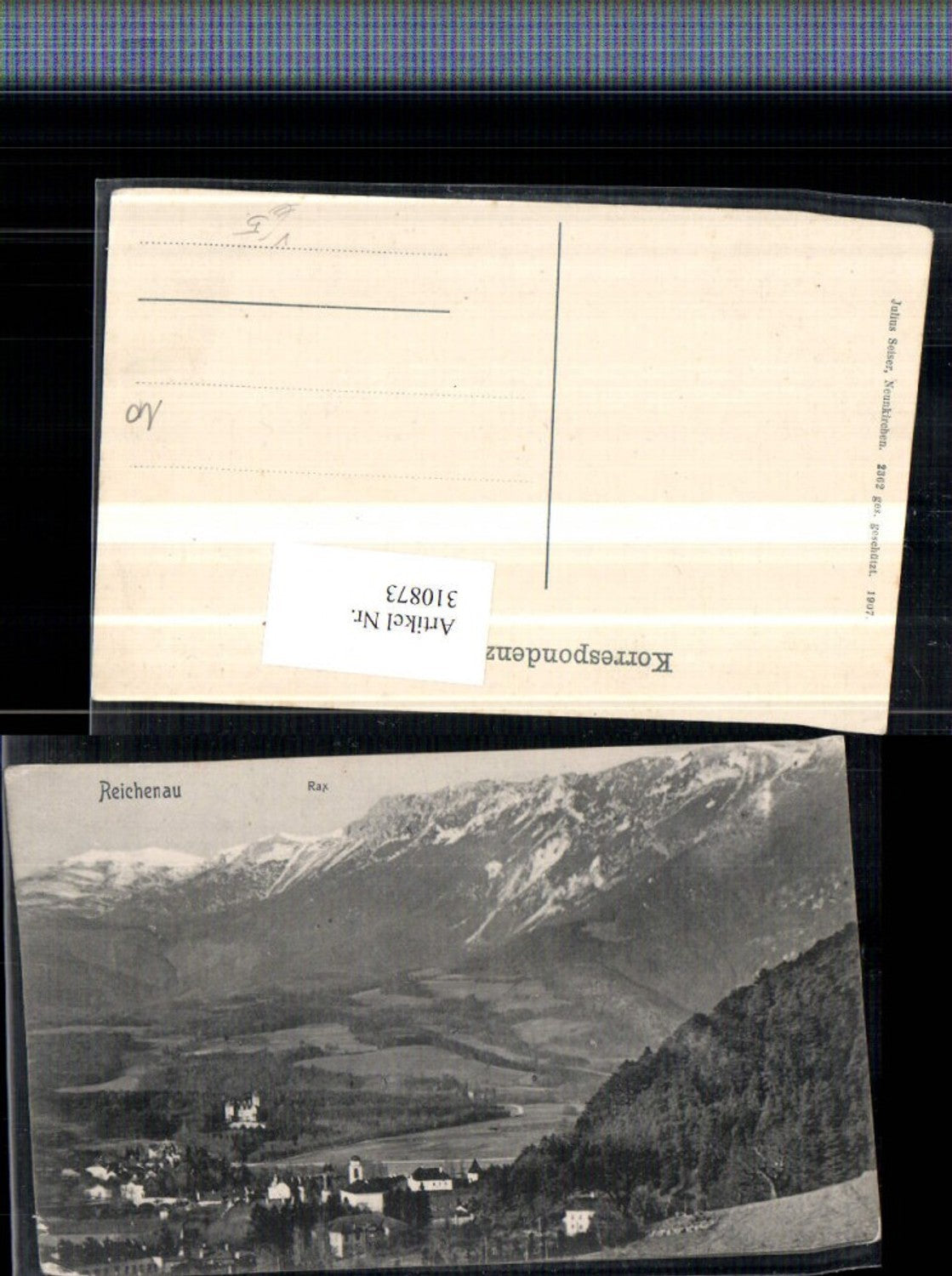 310873,Reichenau an d. Rax Teilansicht m. Rax Bergkulisse pub Julius Seiser 2362