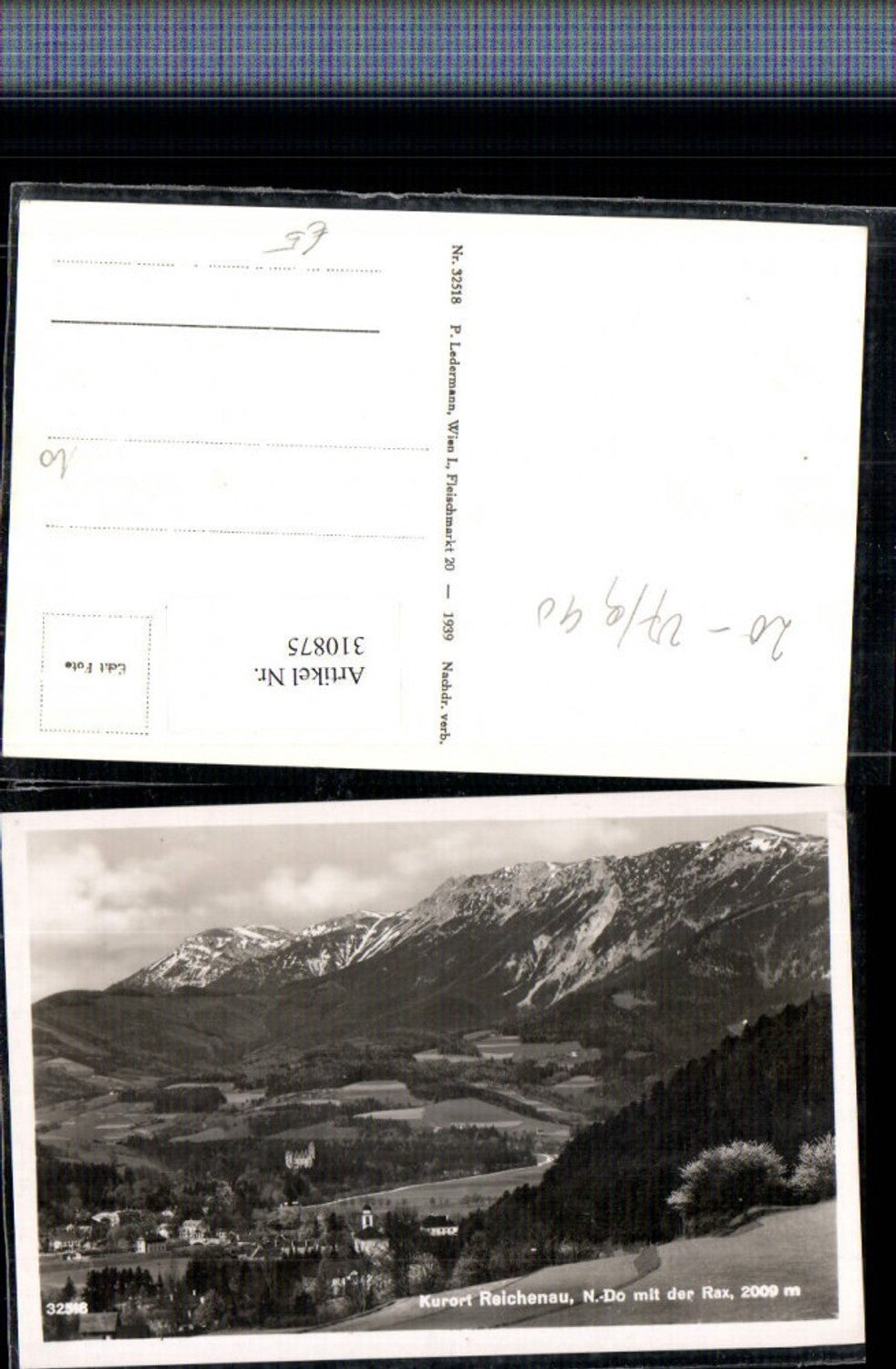 310875,Reichenau an d. Rax Teilansicht m. Rax Bergkulisse