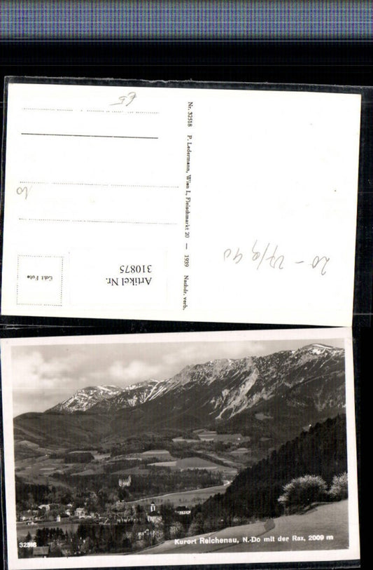 310875,Reichenau an d. Rax Teilansicht m. Rax Bergkulisse