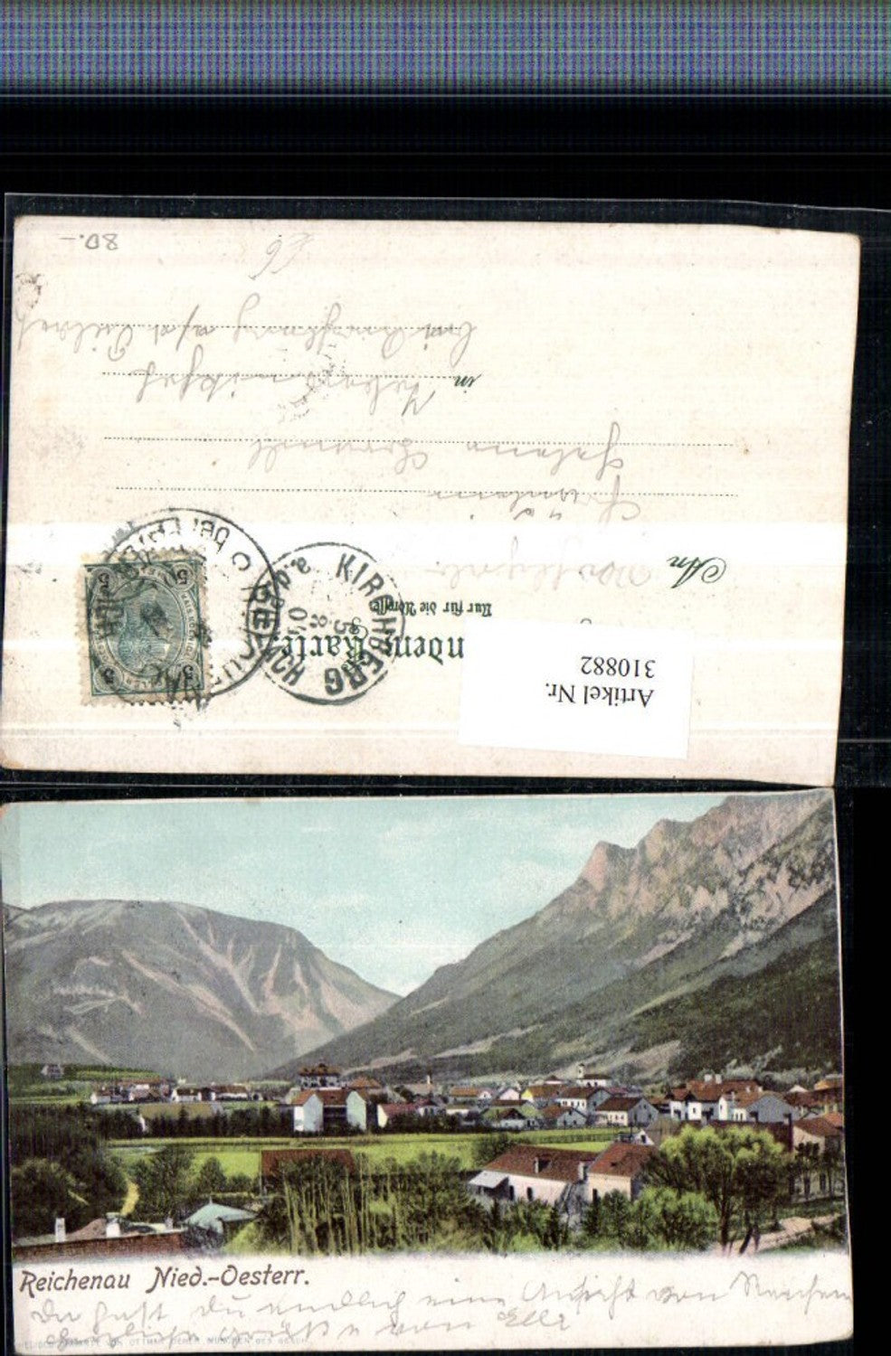 310882,Reichenau an d. Rax Teilansicht Bergkulisse