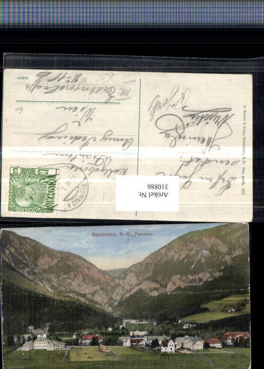 310886,Reichenau an d. Rax Panorama Teilansicht