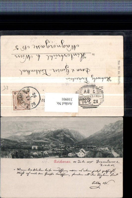 310901,Reichenau an d. Rax Totale Bergkulisse