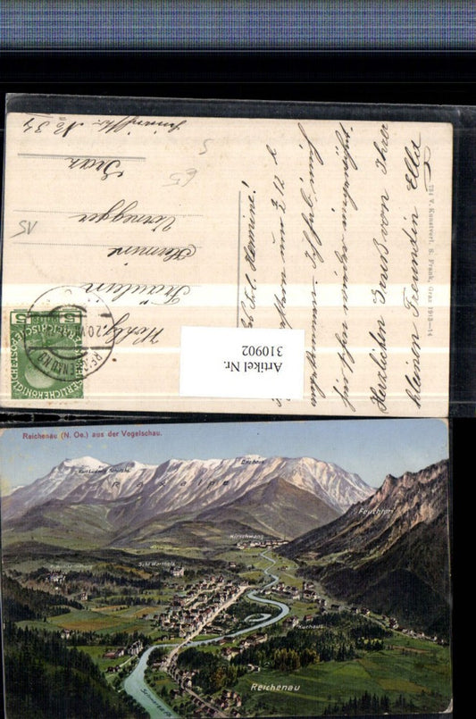 310902,Reichenau an d. Rax Totale aus der Vogelschau Bergkulisse