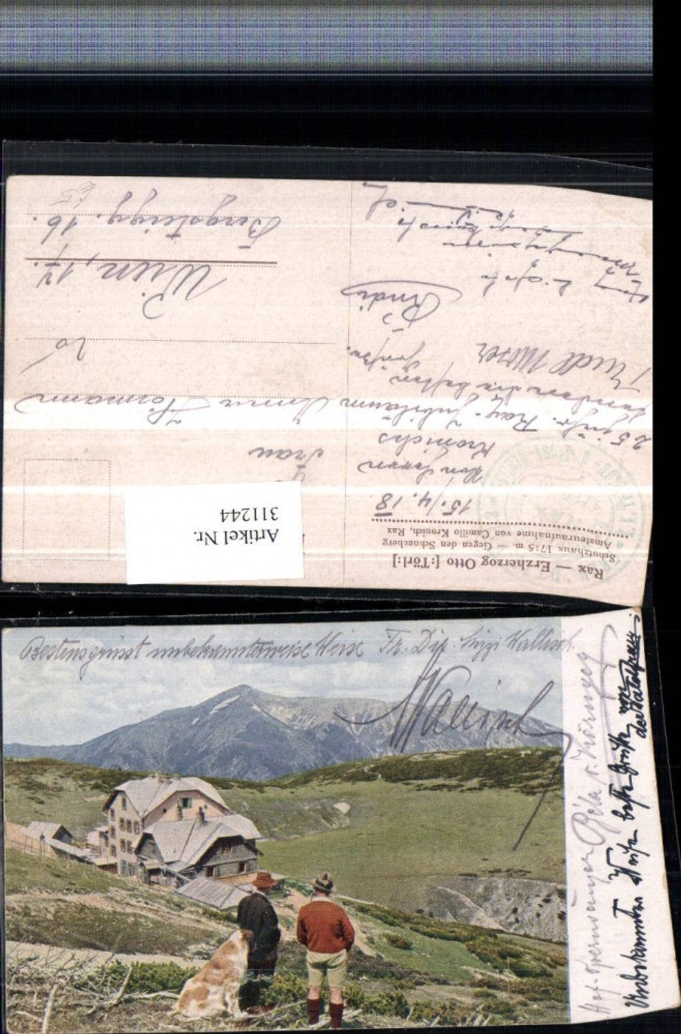 311244,Rax Ottohaus Berghütte b. Reichenau geg. Schneeberg Bergkulisse Hund Bernhardiner