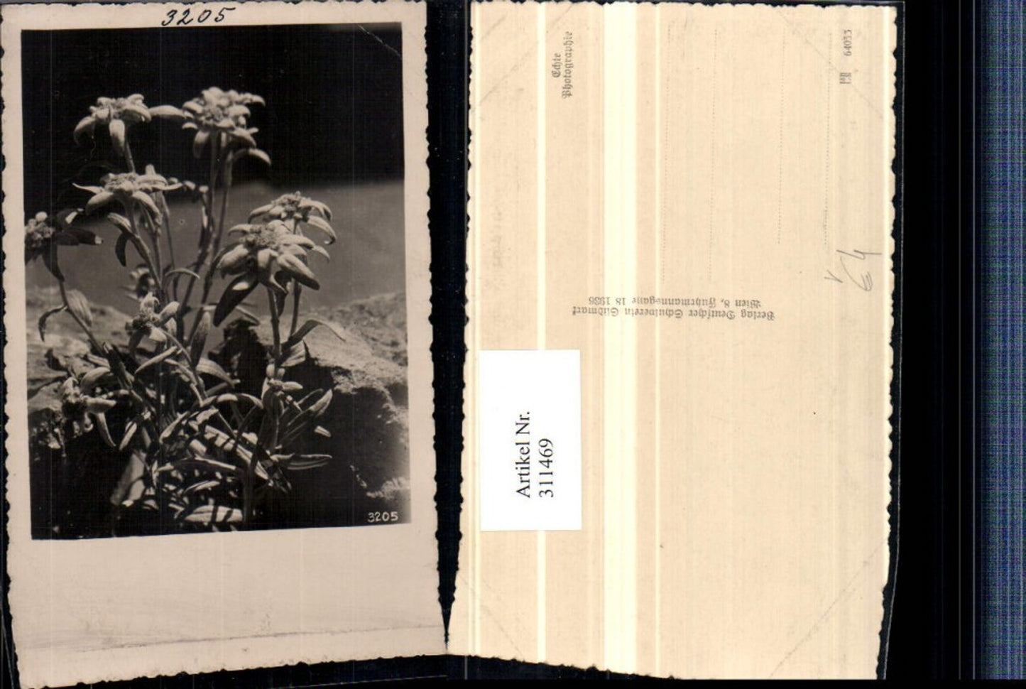 311469,Deutscher Schulverein 3205 Edelweiß Blumen