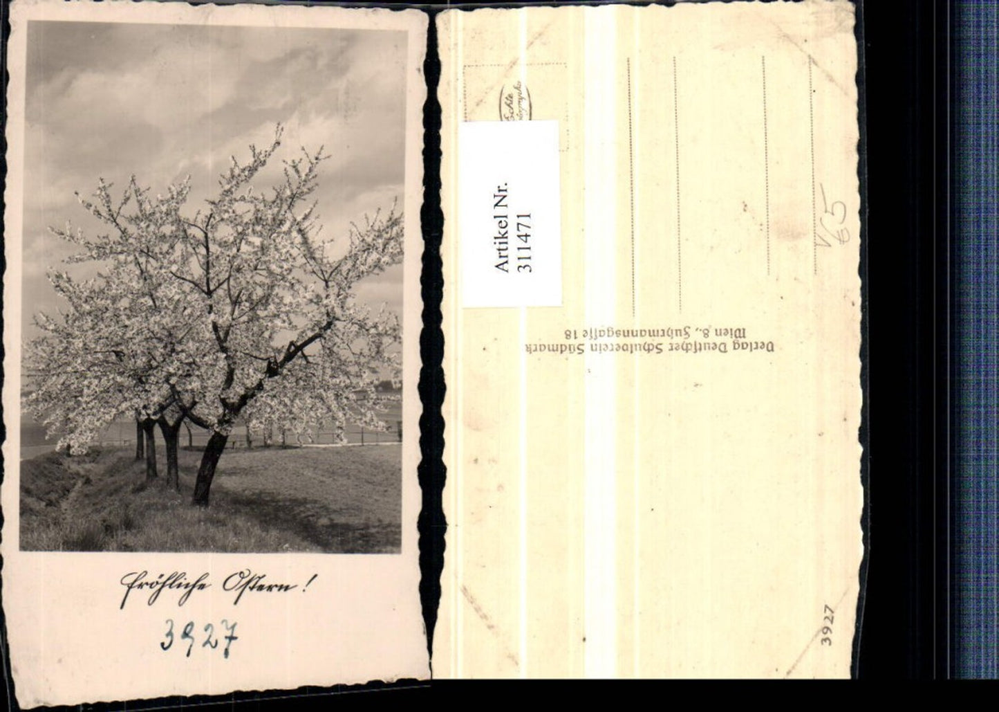 311471,Deutscher Schulverein 3927 Ostern Baumblüte Obstbäume