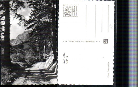 311513,Blick auf die Preinerwand b. Prein Wegpartie Bergkulisse