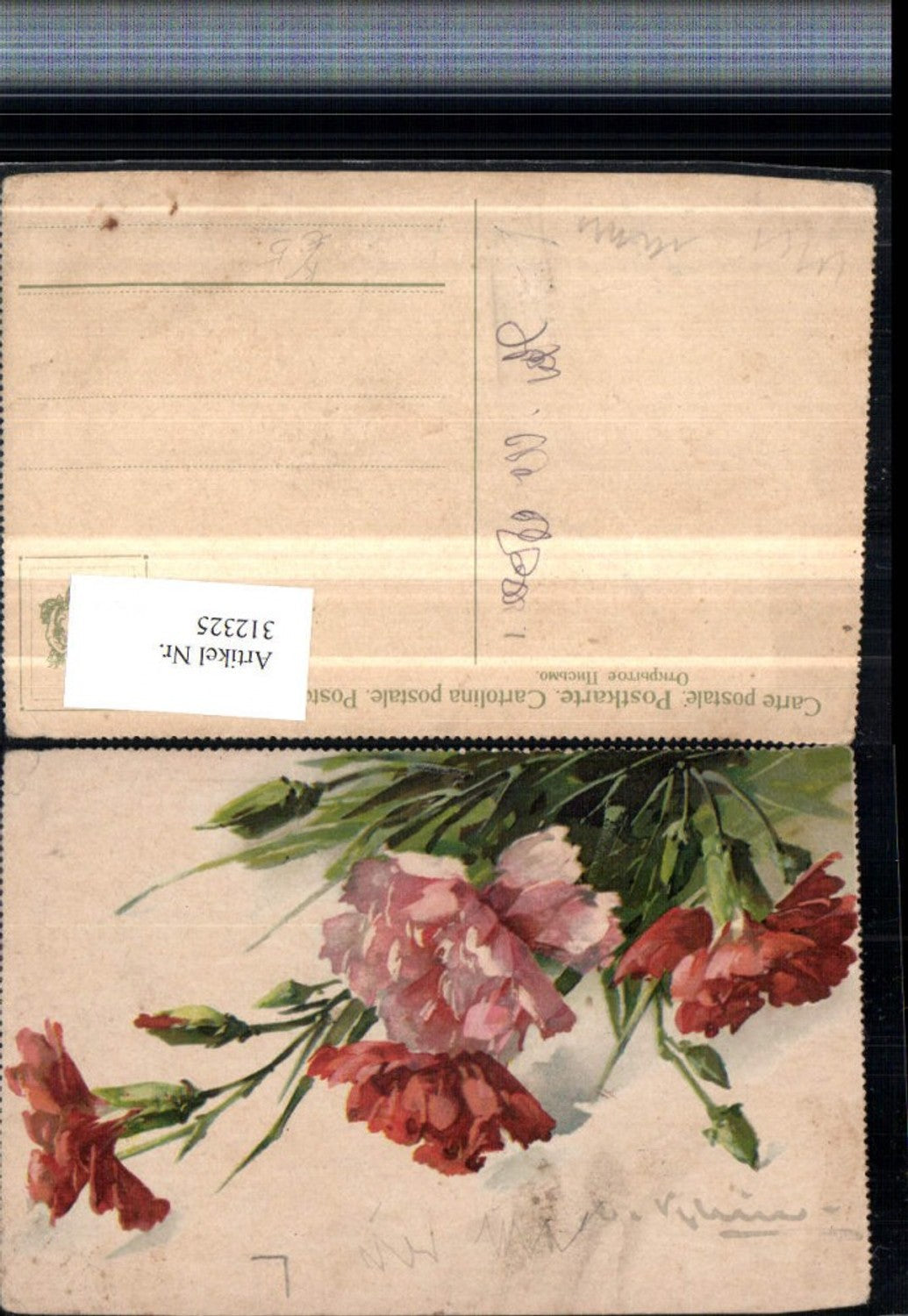 312325,Künstler AK Catharina Klein Nelken Blumen
