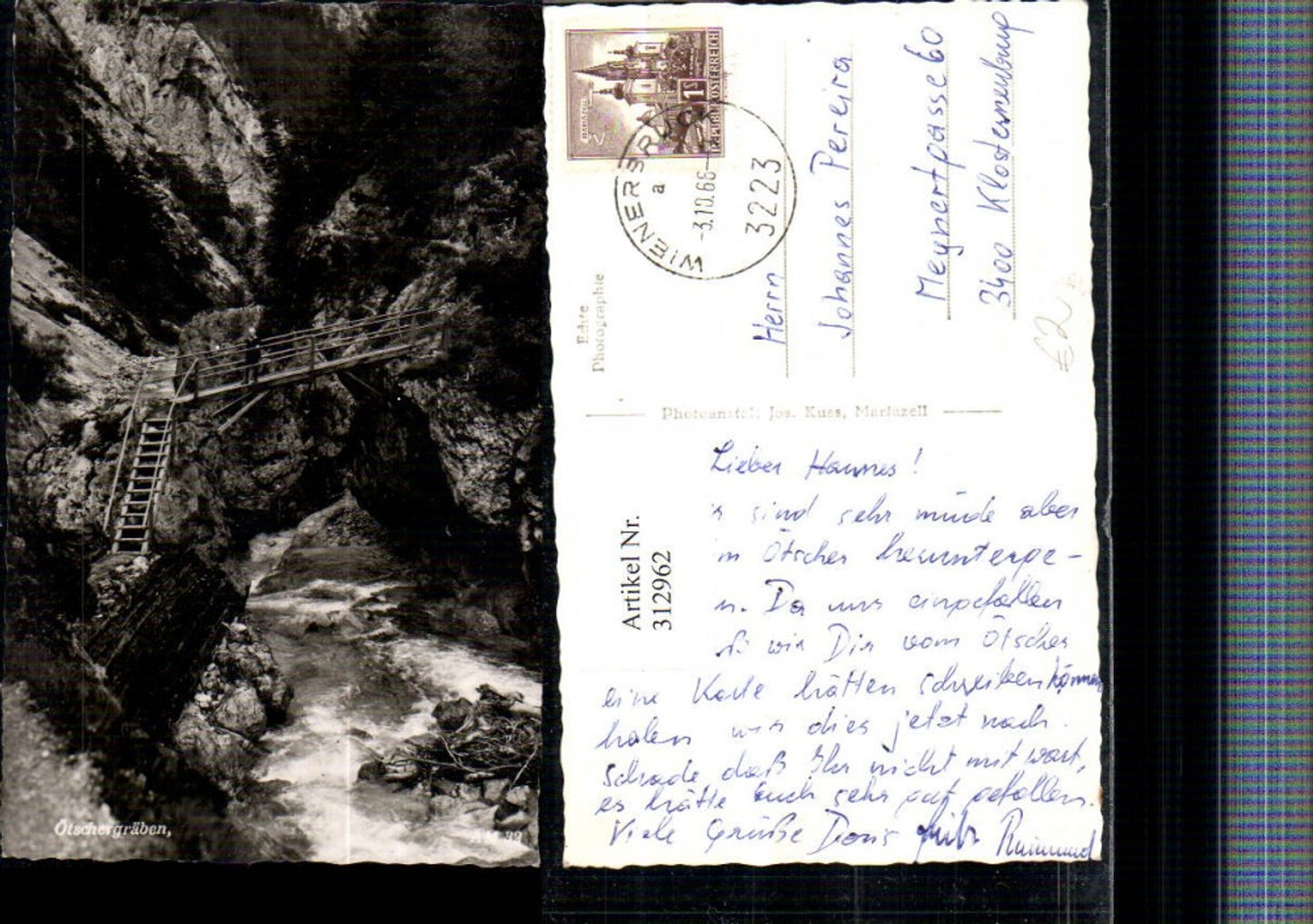 312962,Ötschergräben b. Mitterbach Brücke Leiter