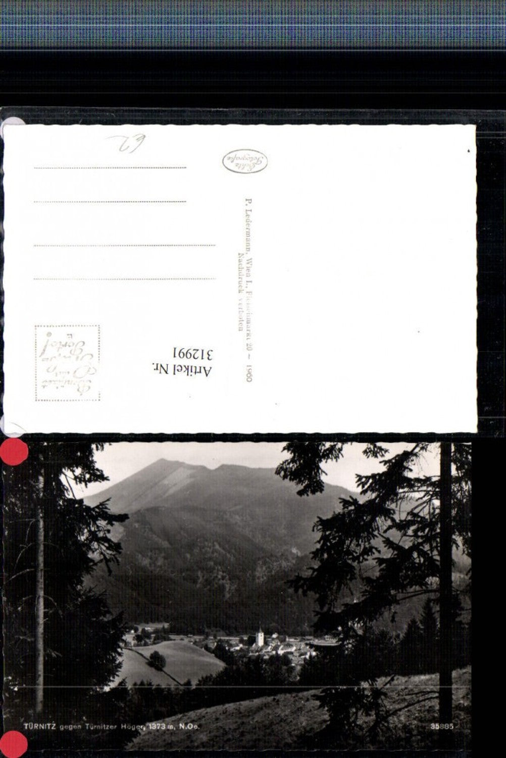312991,Türnitz Teilansicht geg. Türnitzer Höger Bergkulisse