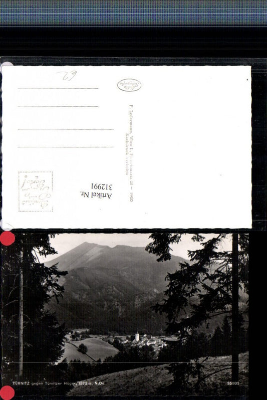 312991,Türnitz Teilansicht geg. Türnitzer Höger Bergkulisse