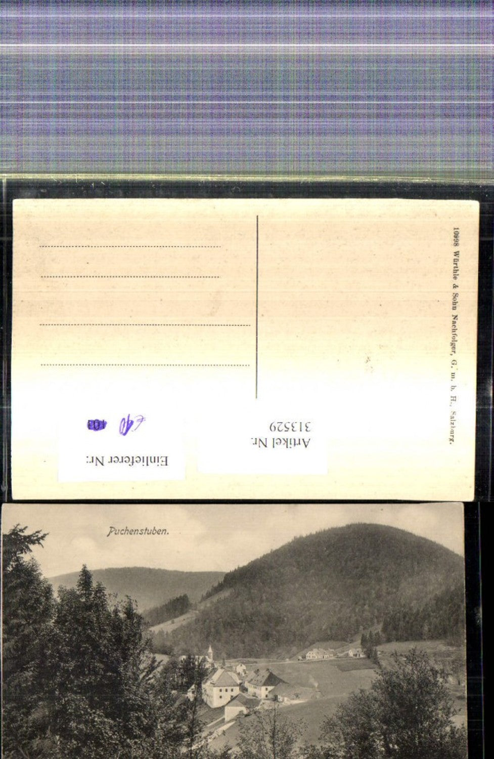 313529,Puchenstuben Teilansicht