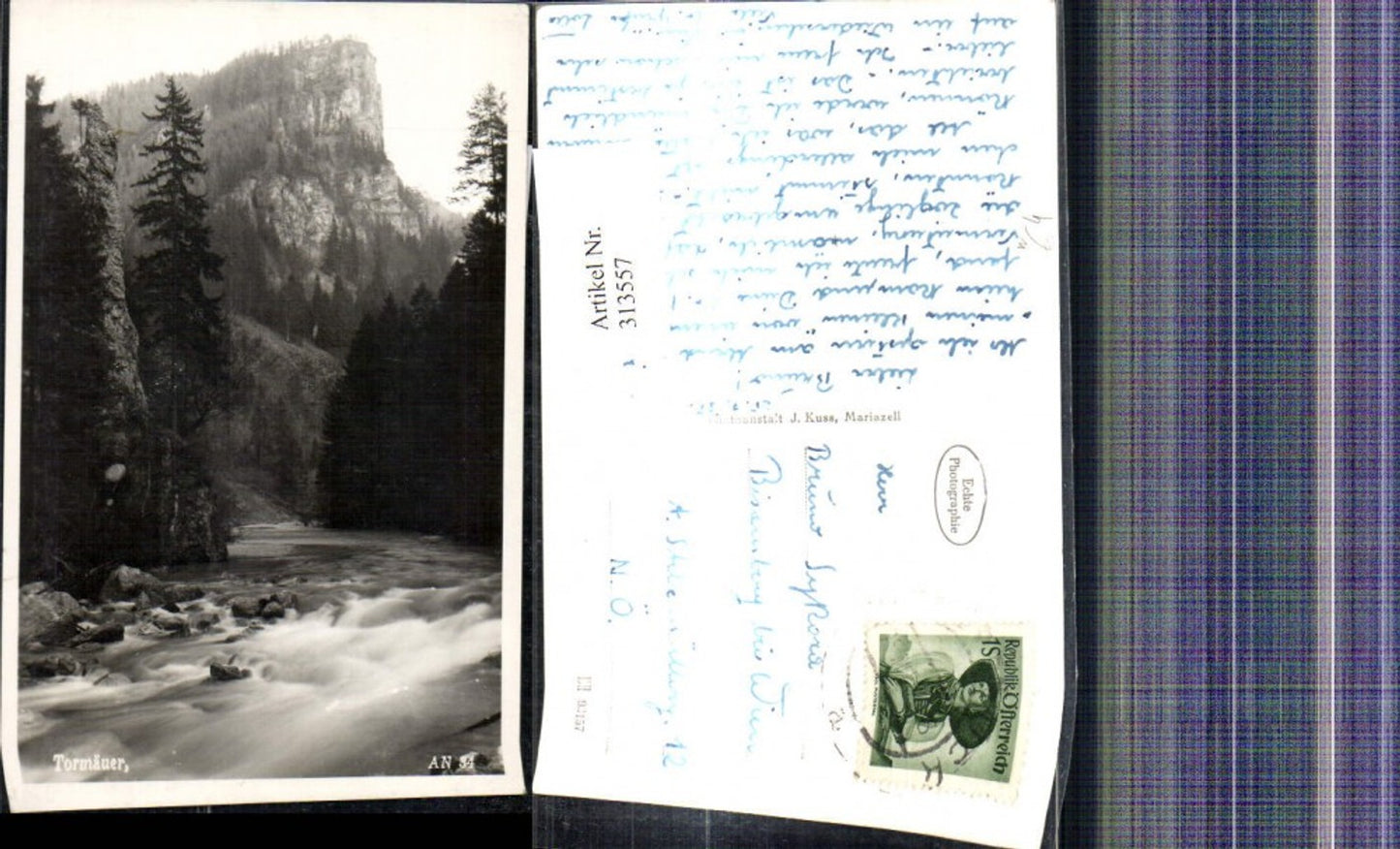 313557,Foto Ak Tormäuer b. Mariazell Gaming