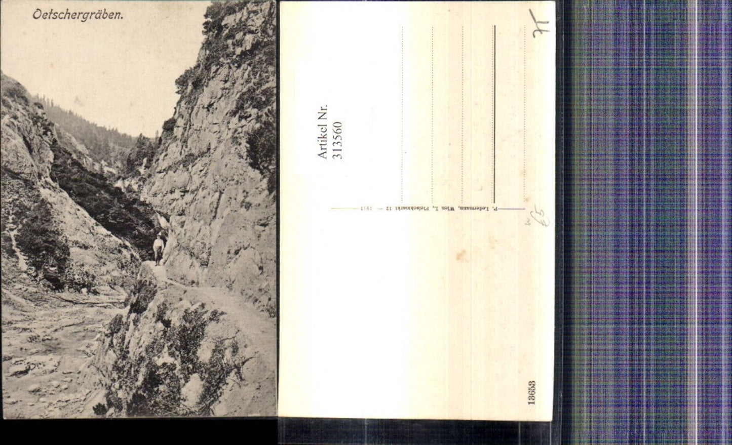 313560,Ötschergräben b. Lackenhof Mitterbach