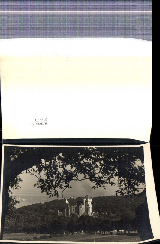 313720,Foto Fotografie Mödling Burg Liechtenstein pub Prohaska