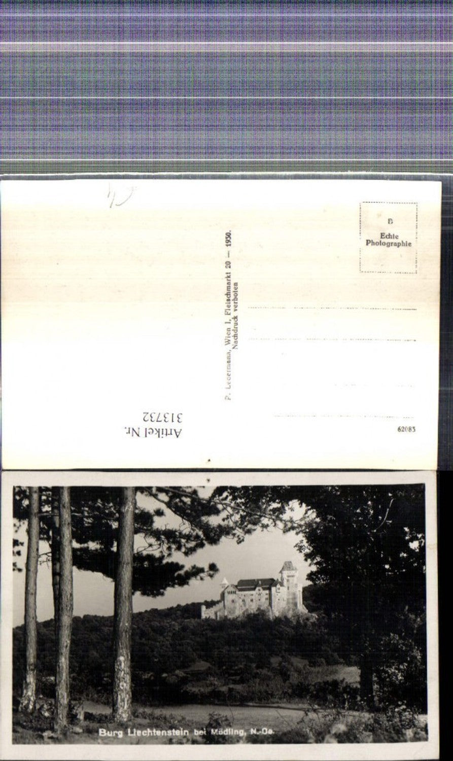 313732,Foto Ak Burg Liechtenstein b. Mödling