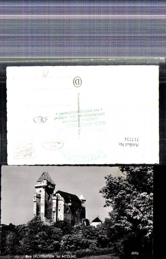 313734,Foto Ak Burg Liechtenstein b. Mödling