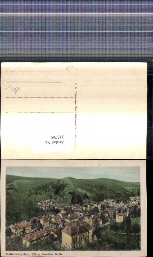 313769,Kaltenleutgeben Totale