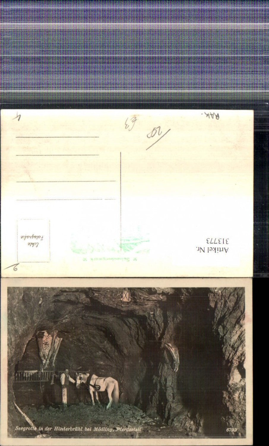 313773,Seegrotte i. d. Hinterbrühl b. Mödling Pferdestall