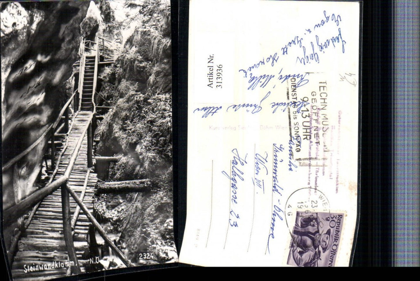 313936,Steinwandklamm b. Weissenbach an d. Triesting Leiter