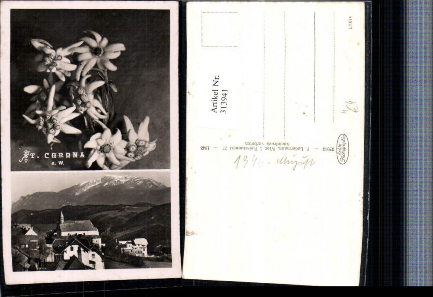 313941,St. Corona am Wechsel Totale Bergkulisse Edelweiß Mehrbildkarte