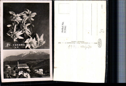 313941,St. Corona am Wechsel Totale Bergkulisse Edelweiß Mehrbildkarte