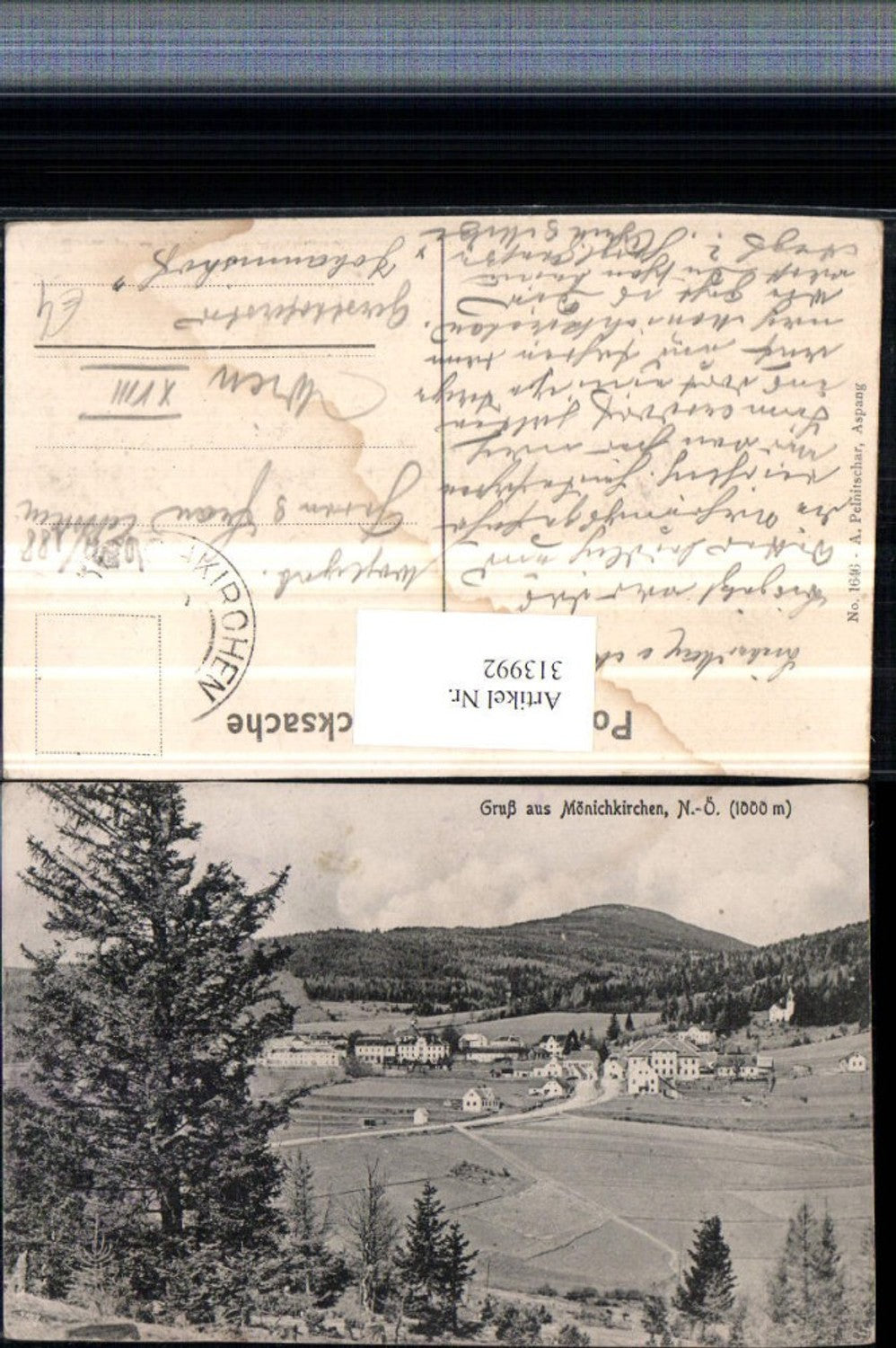 313992,Gruß aus Mönichkirchen Teilansicht