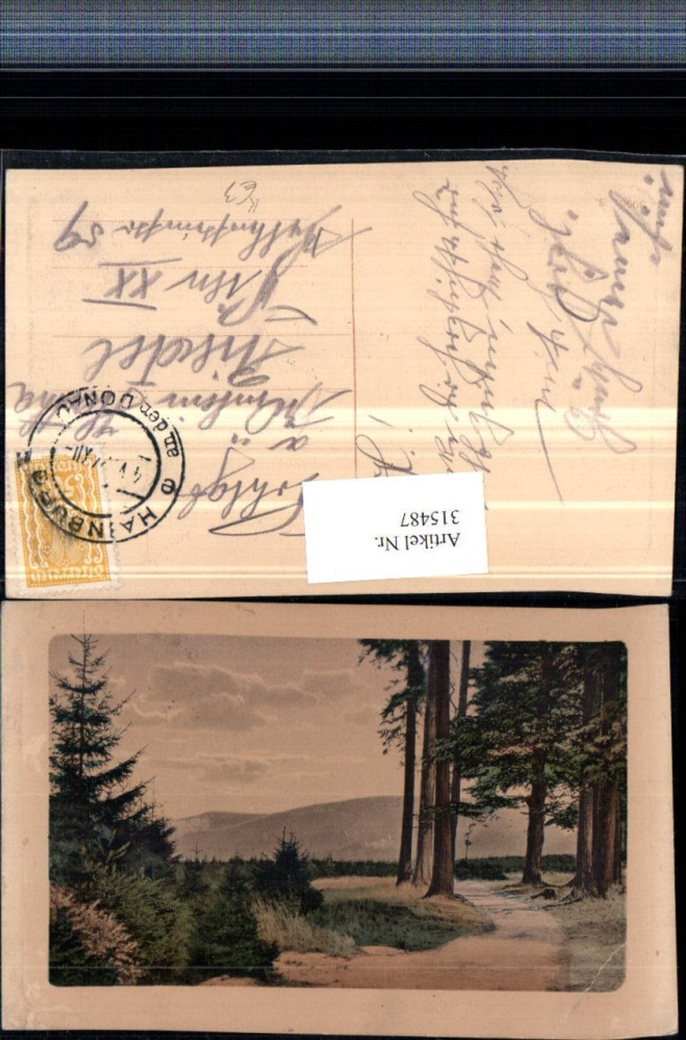 315487,Künstler AK Landschaft Wegpartie Wald Bergkulisse Präge Passepartout