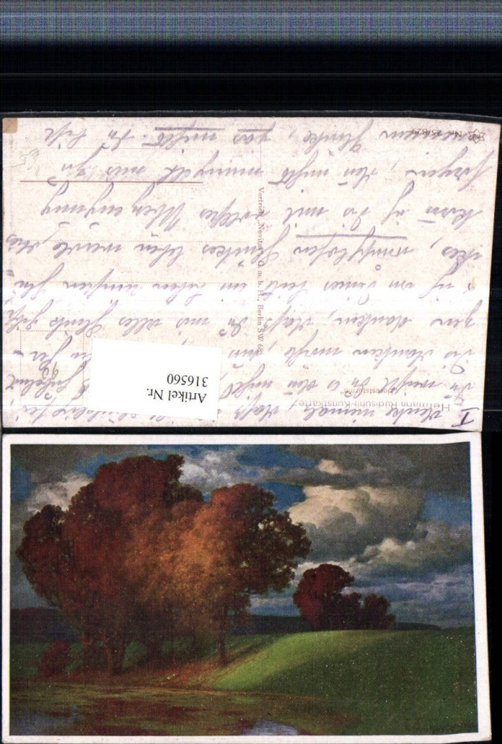 316560,Künstler AK Hermann Rüdisühli Herbststürme Landschaft Bäume pub Novolito 25/829