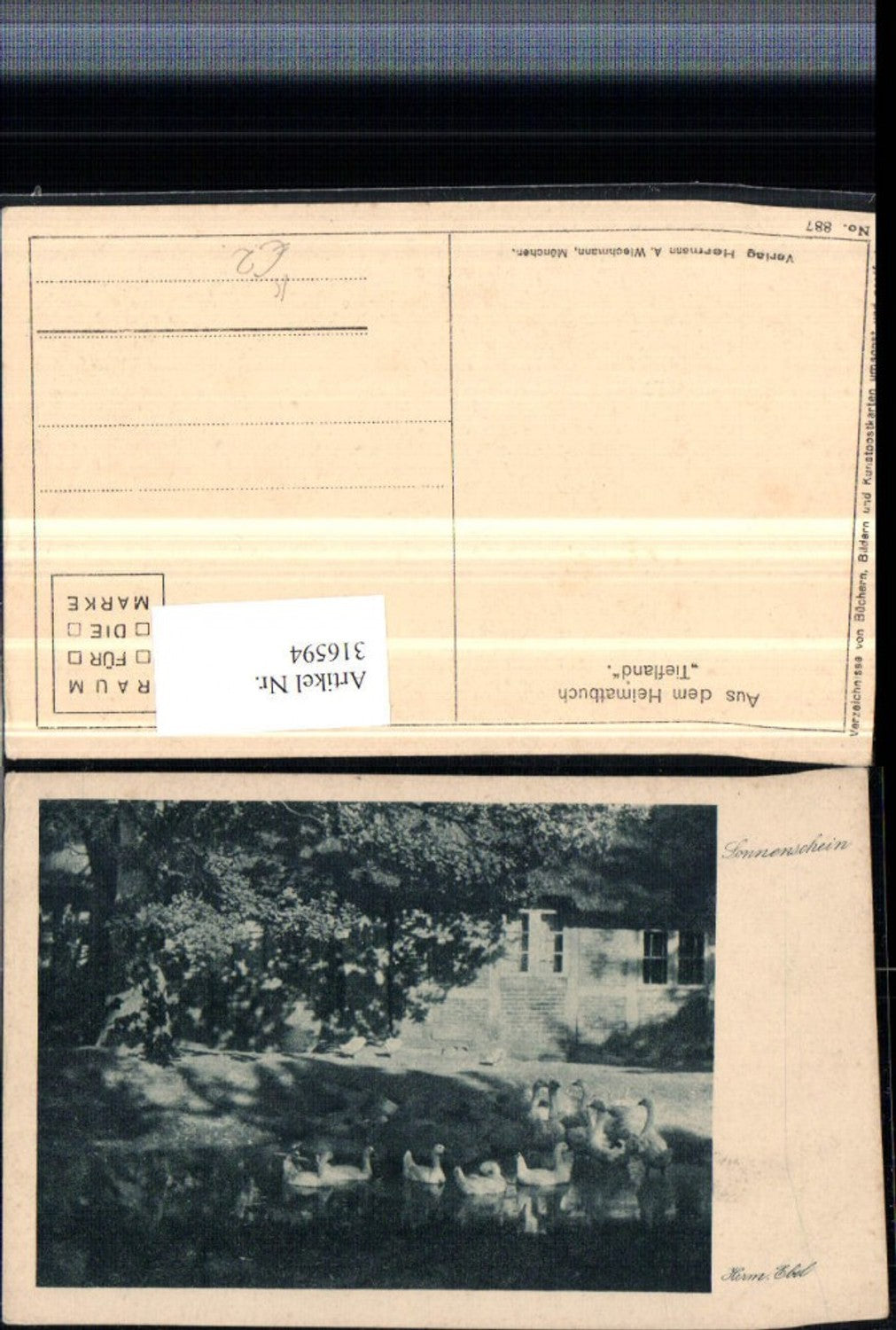 316594,Künstler AK Herm. Ebel Sonnenschein Enten