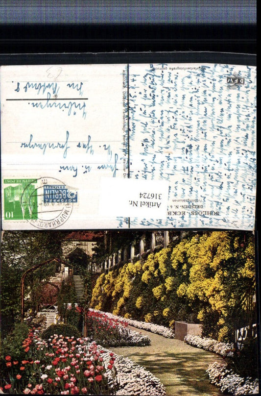 316724,Dresden Schloss Eckberg Frühlingsblumen Blumen